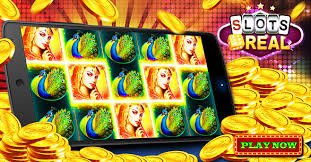 Dashboard akun qqsutera menampilkan riwayat permainan Dream Catcher dan saldo terkini